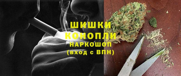 шишки Алексеевка