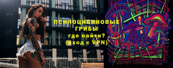 шишки Алексеевка