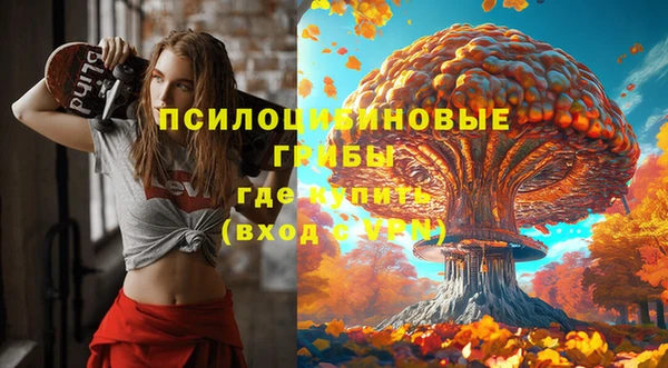 метамфетамин Алексин