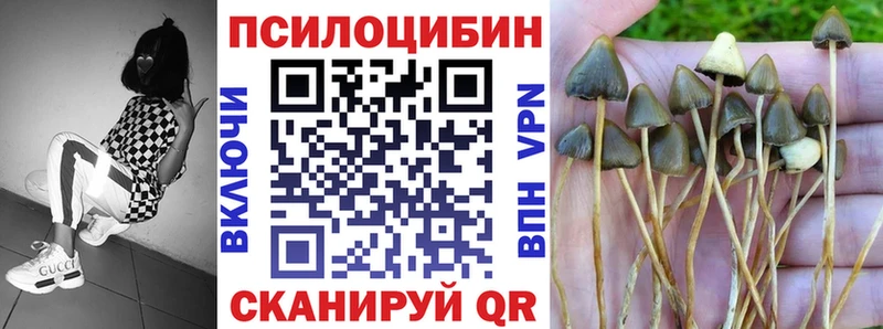 Псилоцибиновые грибы Cubensis mega ССЫЛКА Краснообск цена наркотик